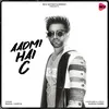 About Aadmi Hai C Song