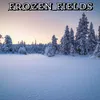 Frozen fields