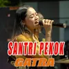 About Santri Pekok Song