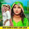 About Meri Garmi M Nikli Jari Jaan Song