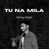 About Tu Na Mila Song