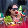 Santri Pekok