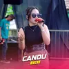 About Candu Song