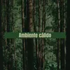 Ambiente cálido