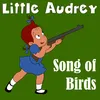 About Song of Birds Song