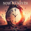 About Now Or Never Song