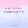 在我们四目相对的时候月亮也落了下来