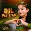 About Dil Dil Pakistan Song