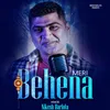 About Meri Behena Song