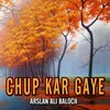 About Chup Kar Gaye Song