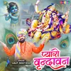 About Pyaro Vrindavan Song