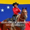 About Guayabo en la Manga Song