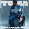 About Kriva procjena Song