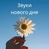 Звуки нового дня