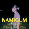 About NAMIGUM Song