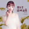 About 我在等铁树开花 Song