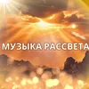 Музыка света