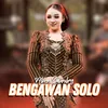 Bengawan Solo