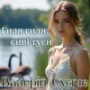 About Гиля-гиля, сиві гуси Song