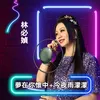 About 夢在你懷中+今夜雨濛濛 Song