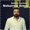 About Malemın Diyarbekir Song