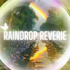 Raindrop Reverie