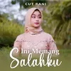 About Ini Memang Salahku Song