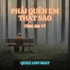 About Phải Quên Em Thật Sao Song