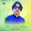 Tedi Sadi Dhola