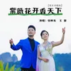 About 紫薇花开香天下 Song