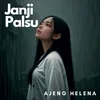 About Janji Palsu Song