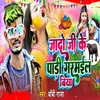 About Jado Ji Ke Padi Garmail Biya Song