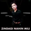 About Zindagi Nahin Mili Song