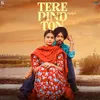 About Tere Pind Ton Song