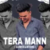About Tera Mann (Slowed & Reverb) Song