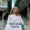 About Tere Bina Yaara Song