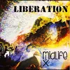 Liberation Remix