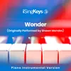 Wonder (Lower Key - Originally Performed by Shawn Mendes) Piano Instrumental Version