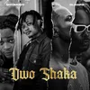 About Owo Shaka Song