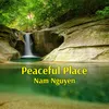About Peaceful Place Song