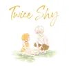 About Twice Shy Song