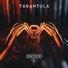 About Tarantula Song