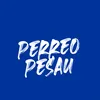 About Perreo Pesau Song