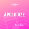 Apologize (Originally Performed by One Republic) Piano Karaoke Version