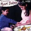 About Pyari Behna Song