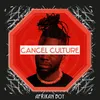 About Cancel Culture Song