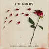 About I'm Sorry Song