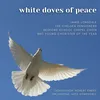About White Doves of Peace Song