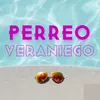 About Perreo Veraniego Song