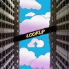 About Lookup Song